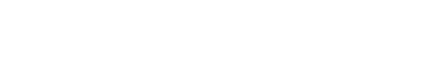 Hogani Jets logo